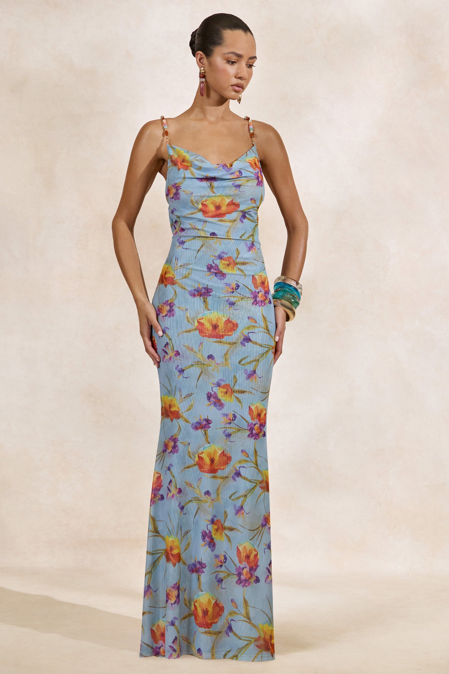 Raisa | Blue Floral Mesh Cowl-Neck Maxi Dress