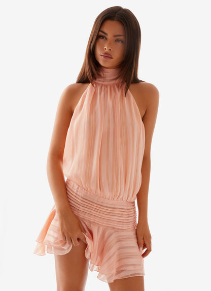 Amoura Mini Dress