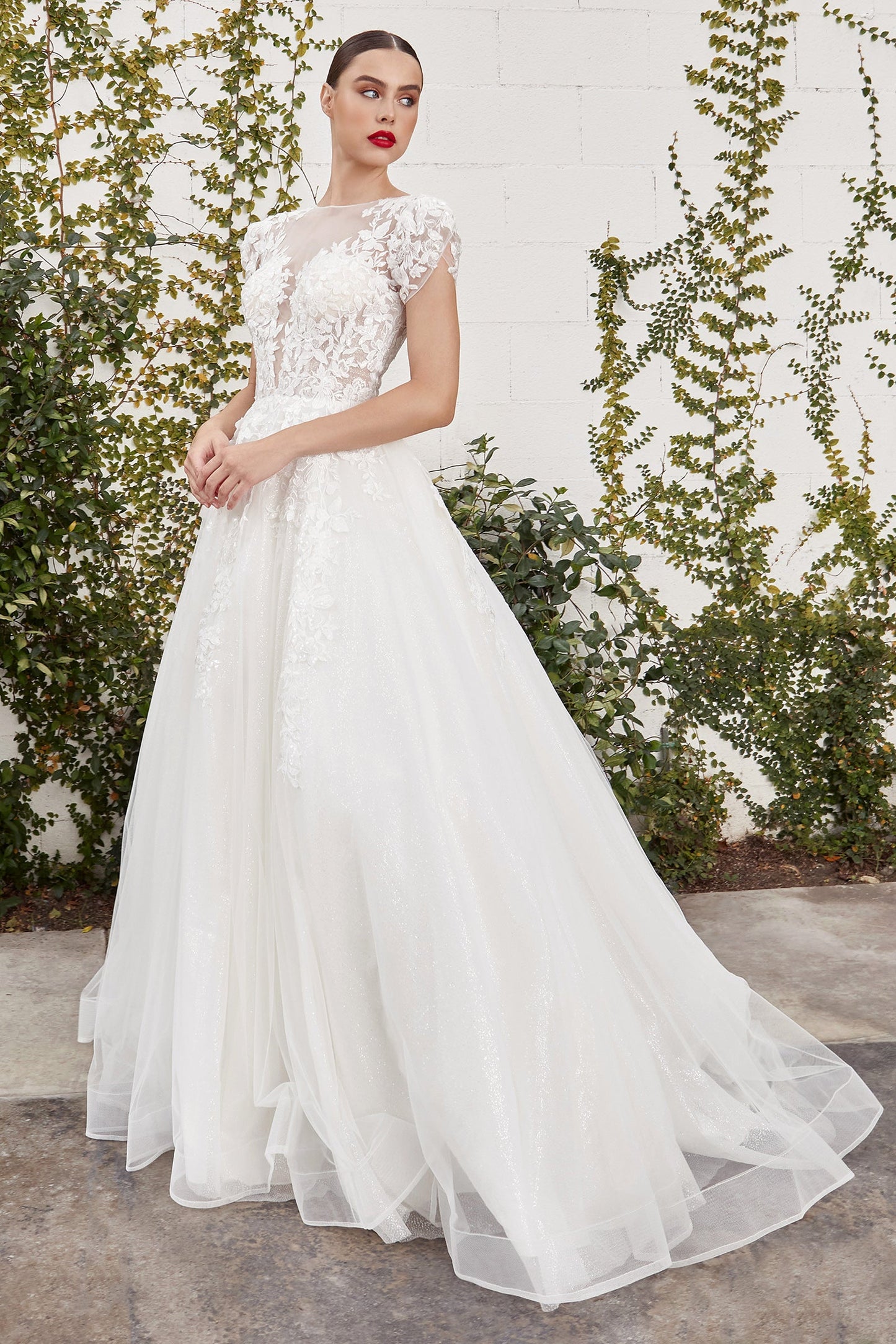 A1082W CATHERINE CAP SLEEVE LACE BALL GOWN Andrea & Leo