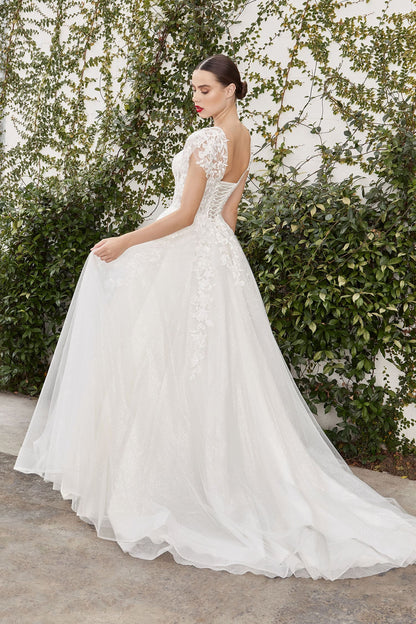 A1082W CATHERINE CAP SLEEVE LACE BALL GOWN Andrea & Leo