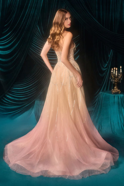 A1508 Quinley Beaded Ombre Gown Andrea & Leo
