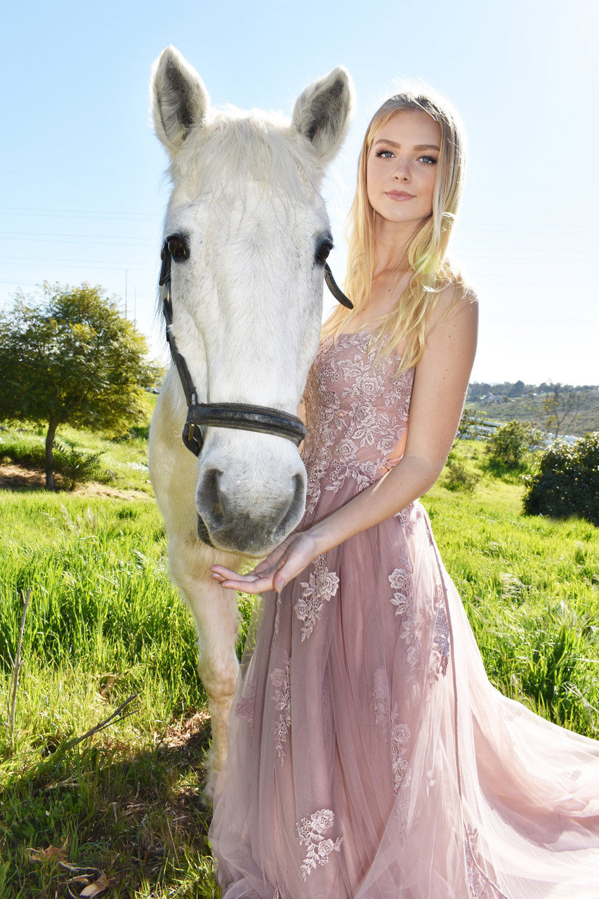 Alisha Gown Mauve Tulle A- Dress With Open Back