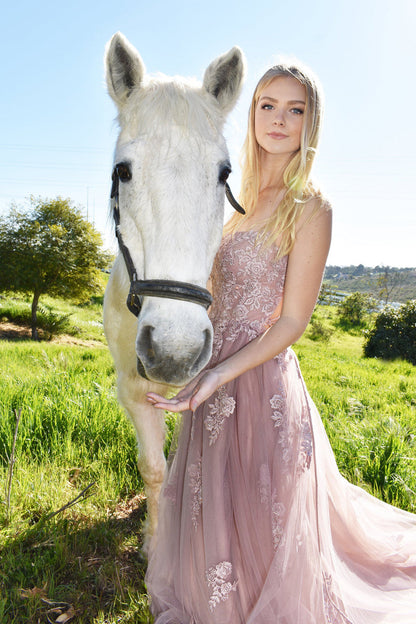 Alisha Gown Mauve Tulle A- Dress With Open Back