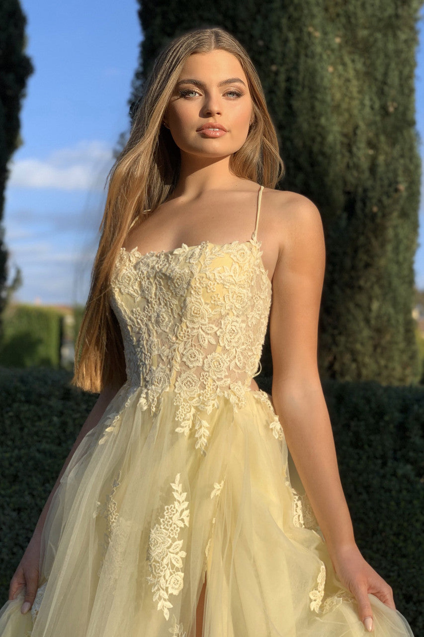 Alisha Gown Yellow Tulle A- Dress With Open Back