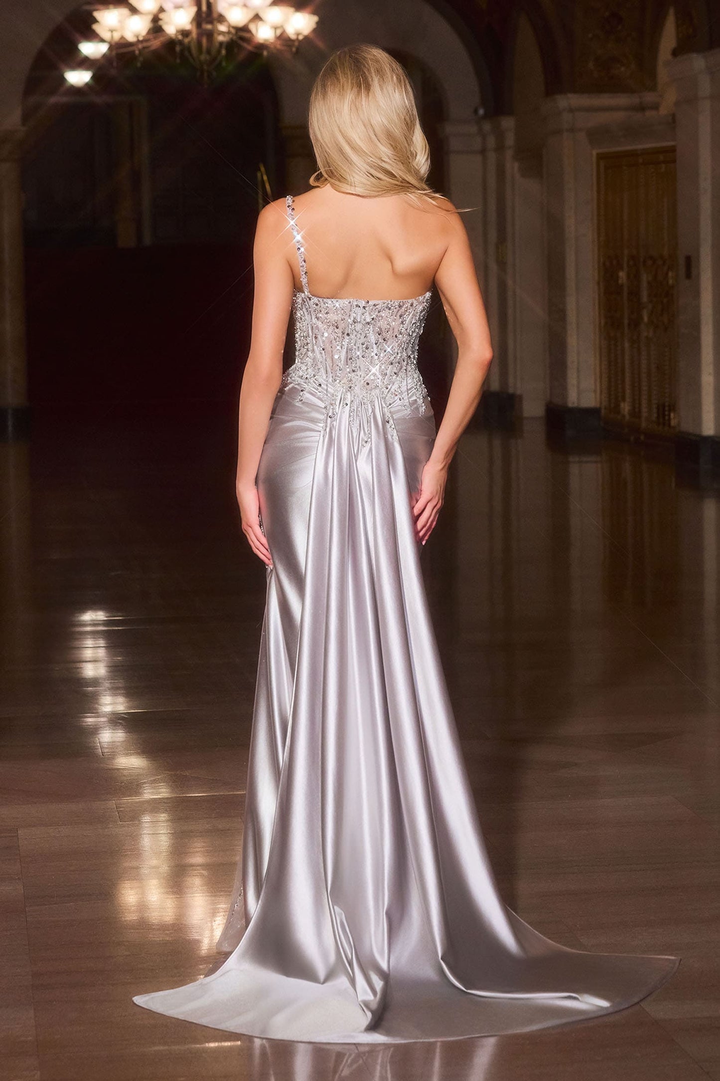 Kendra Gown Silver Dress With Train & Skirt Inset Detail