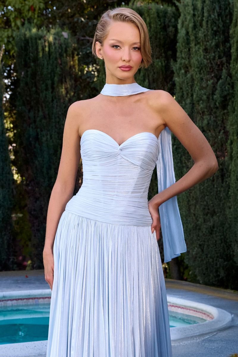 Linnea Gown Strapless Shimmer Chiffon Dress with Scarf
