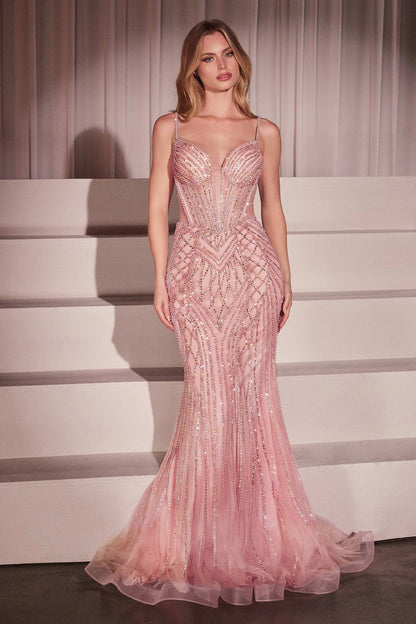 EMMELINE GOWN CRYSTAL EMBELLISHED TULLE DRESS
