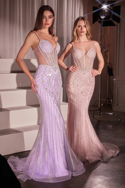 EMMELINE GOWN CRYSTAL EMBELLISHED TULLE DRESS