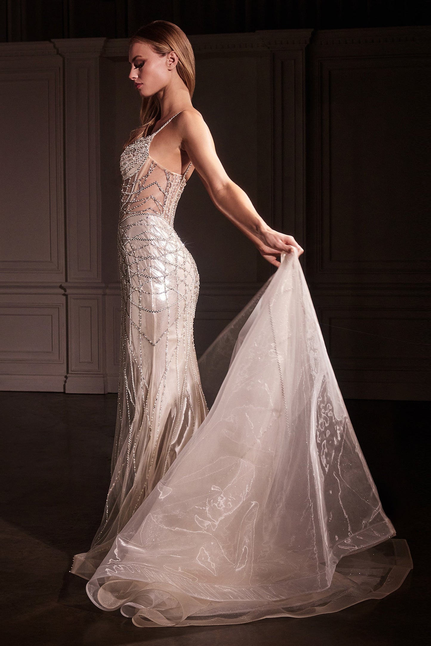 Cassiopeia Gown Fit & Flare Crystal-Embellished Gown with Overskirt