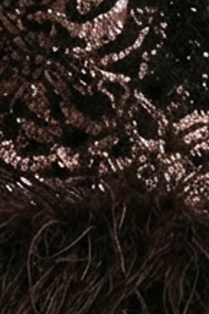 Stardust | Brown Sequined Velvet Crew-Neck Mini Dress With Feather Trim