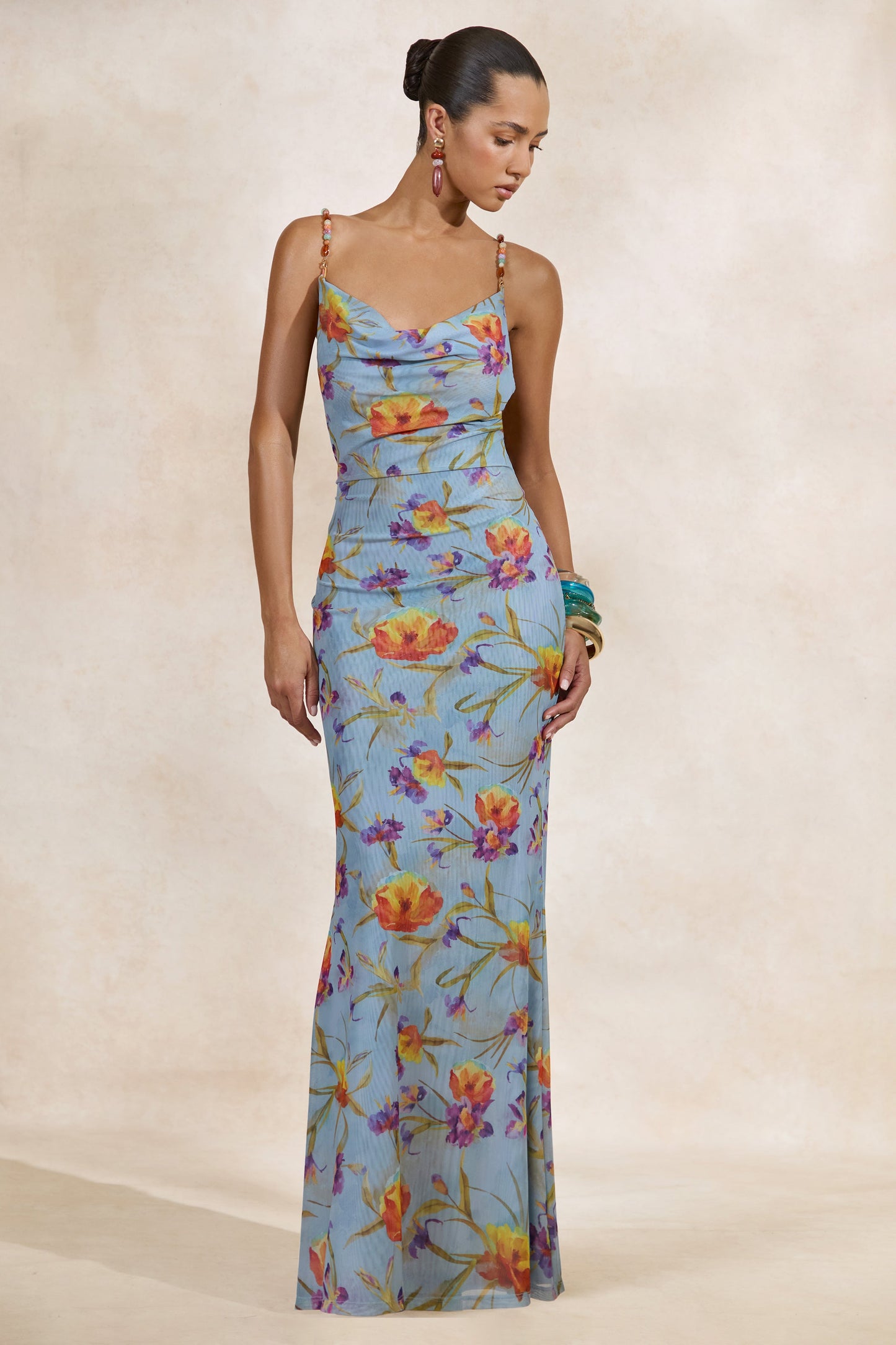 Raisa | Blue Floral Mesh Cowl-Neck Maxi Dress