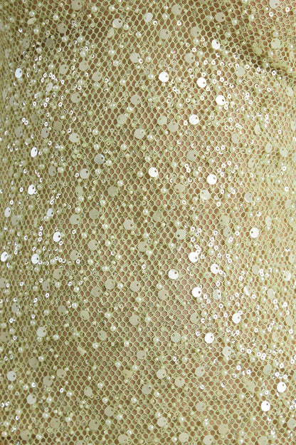 Minna | Sage Sheer Sequin Plunge-Neck Maxi Dress