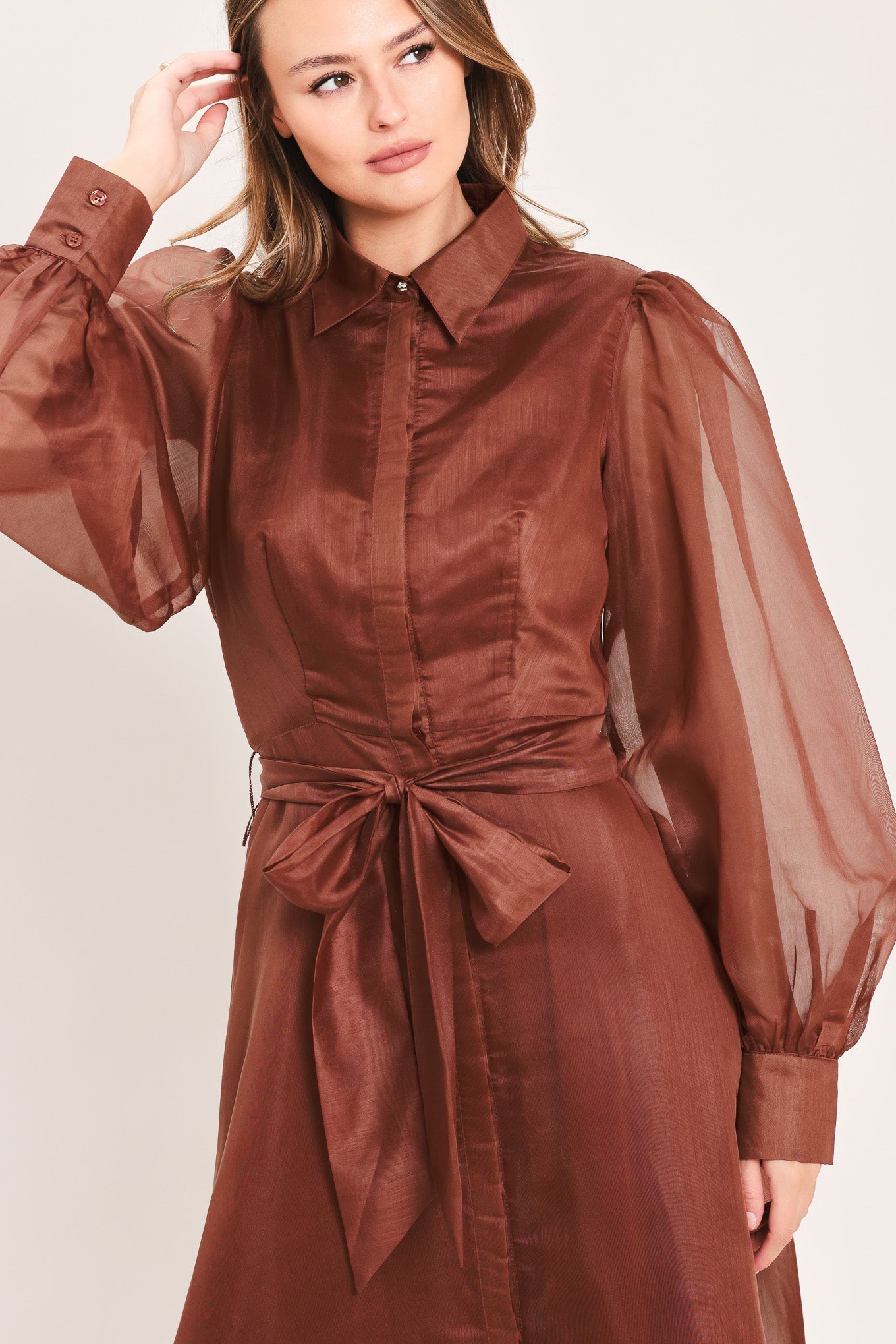 CEDARLIGHT EMBRACE RUST ORGANZA MAXI DRESS