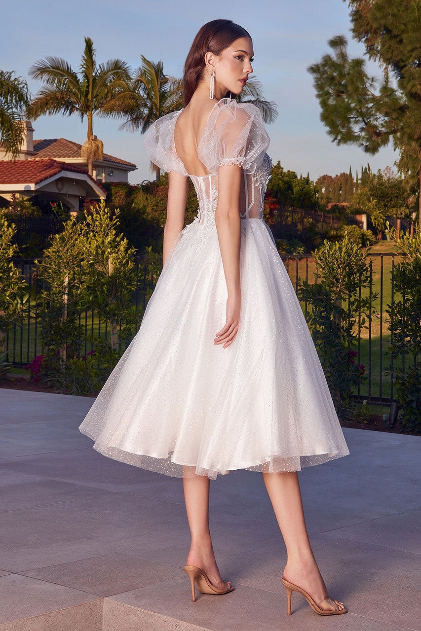 Jane Midi Dress Off-White Glitter Tulle Dress