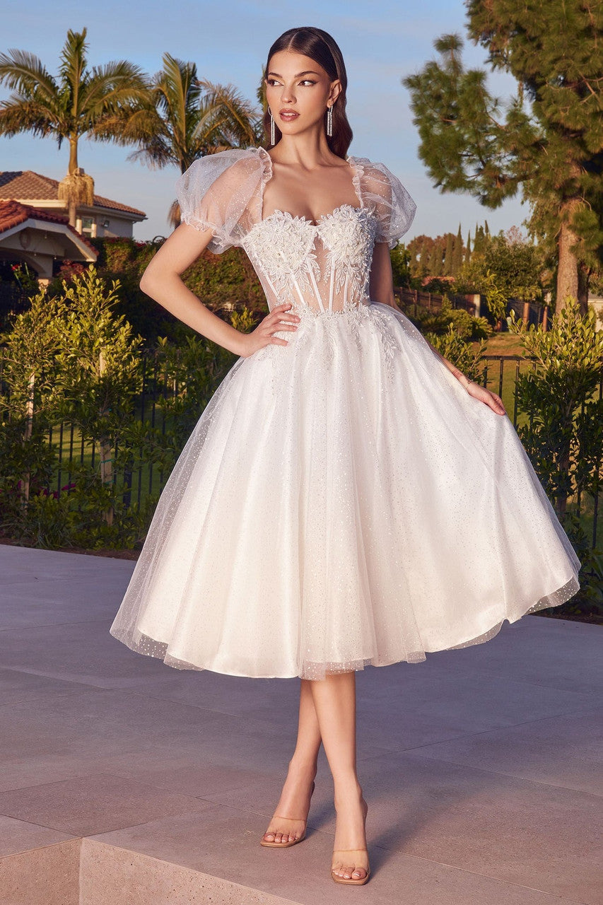 Jane Midi Dress Off-White Glitter Tulle Dress