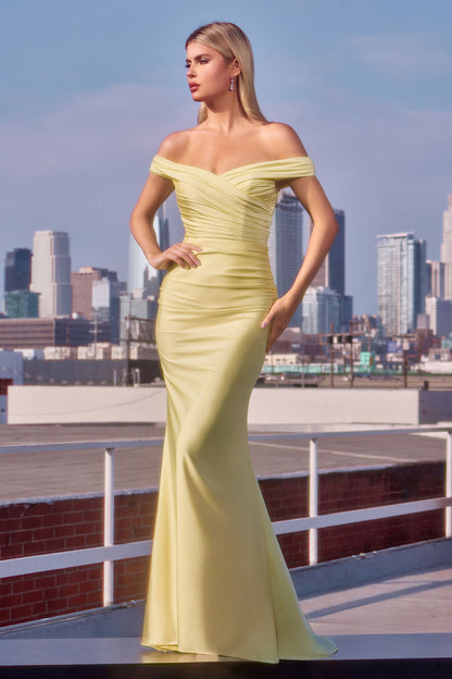 Tinsley Gown Stretch Off-the-Shoulder Dress