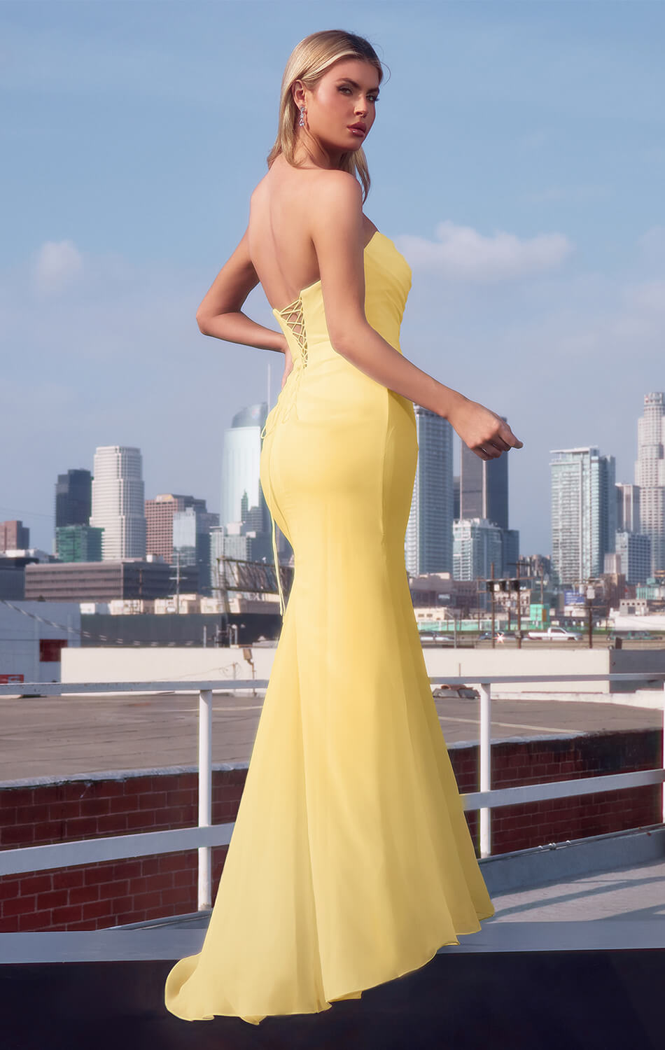 Haven Gown Long Strapless Chiffon Dress