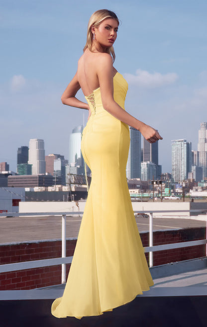 Haven Gown Long Strapless Chiffon Dress