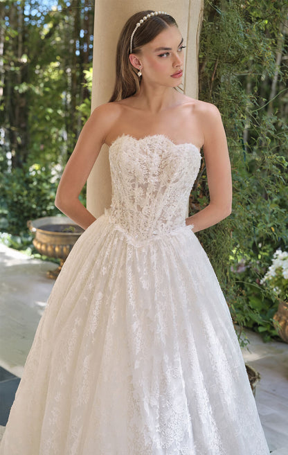 WL061 Antheia Lace Ball Gown Andrea & Leo