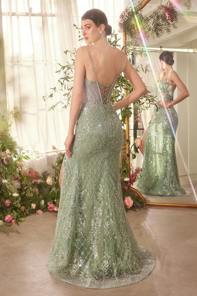 A1470 CRYSTAL NECKLINE BEADED GOWN Andrea & Leo