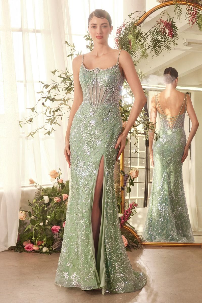 A1470 CRYSTAL NECKLINE BEADED GOWN Andrea & Leo
