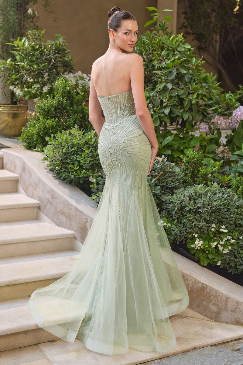 A1492 Crystal Mae Mermaid Gown Andrea & Leo