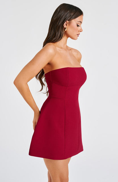 Asha Mini Dress Wine