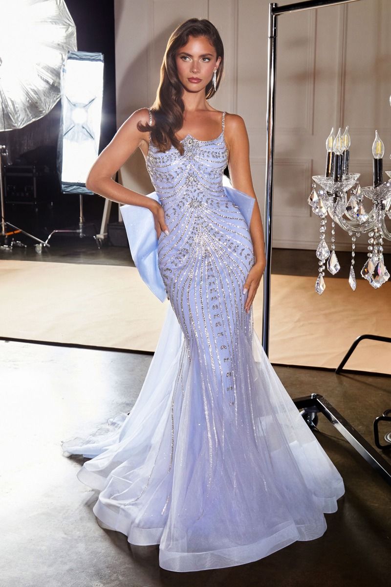 Rebekah Gown Evening Dress with Detachable Bow Train
