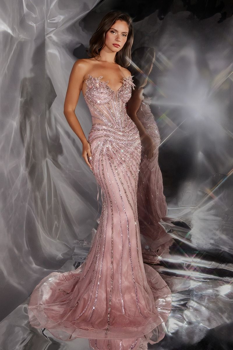 Ursula Gown Mermaid Dress With Illusion Bodice