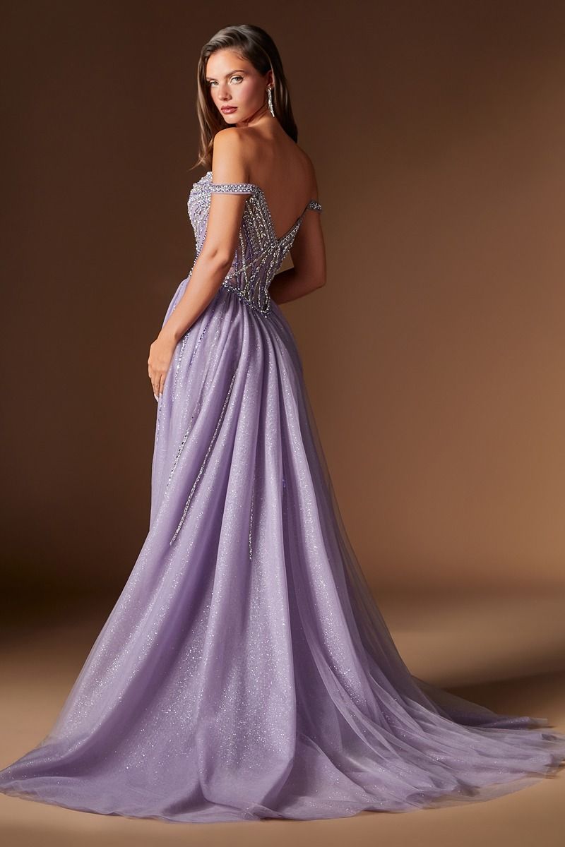 Esperanza Gown Crystal Embellished Formal Evening Dress