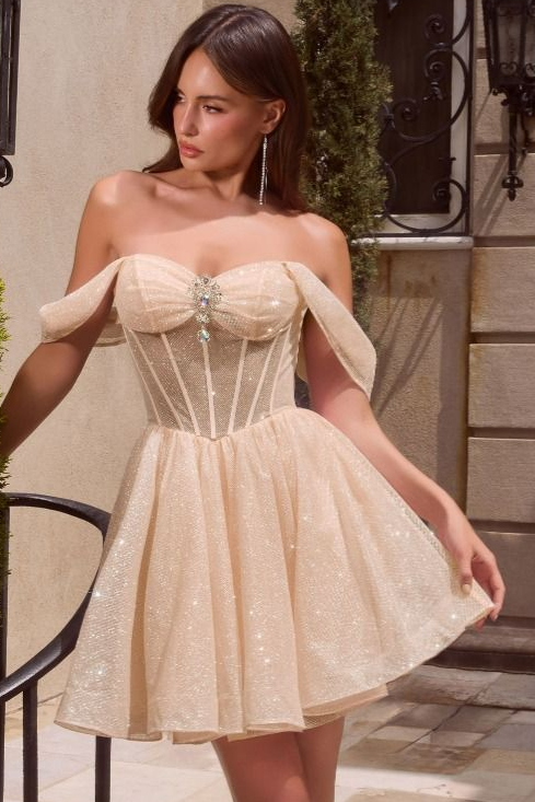 Audrina Mini Dress Glitter Corset Cocktail Dress