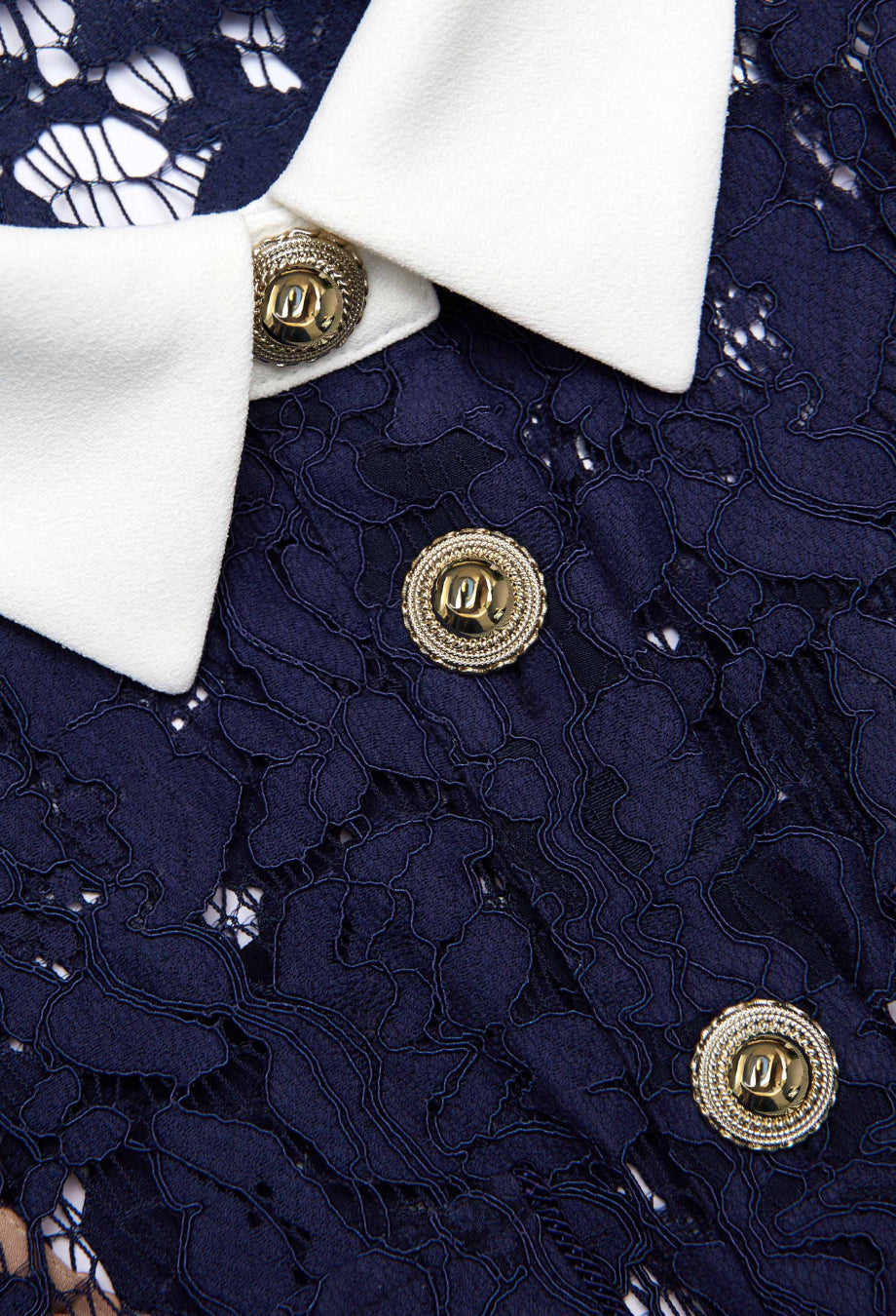 Deanna Navy Lace Contrast Collar Formal Midi Dress