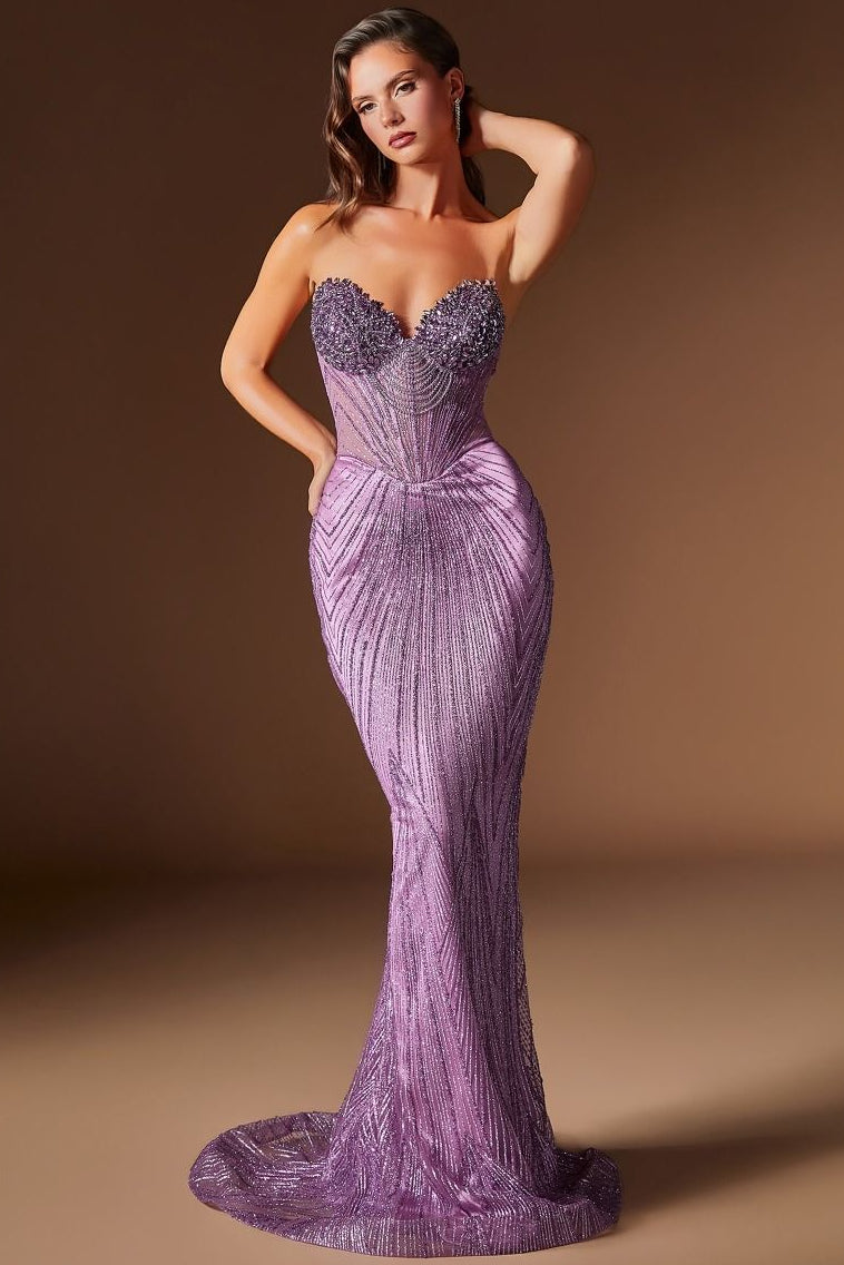 Rialto Gown Fitted Dress with Sheer Corset Bodice