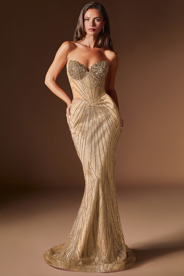 Rialto Gown Fitted Dress with Sheer Corset Bodice