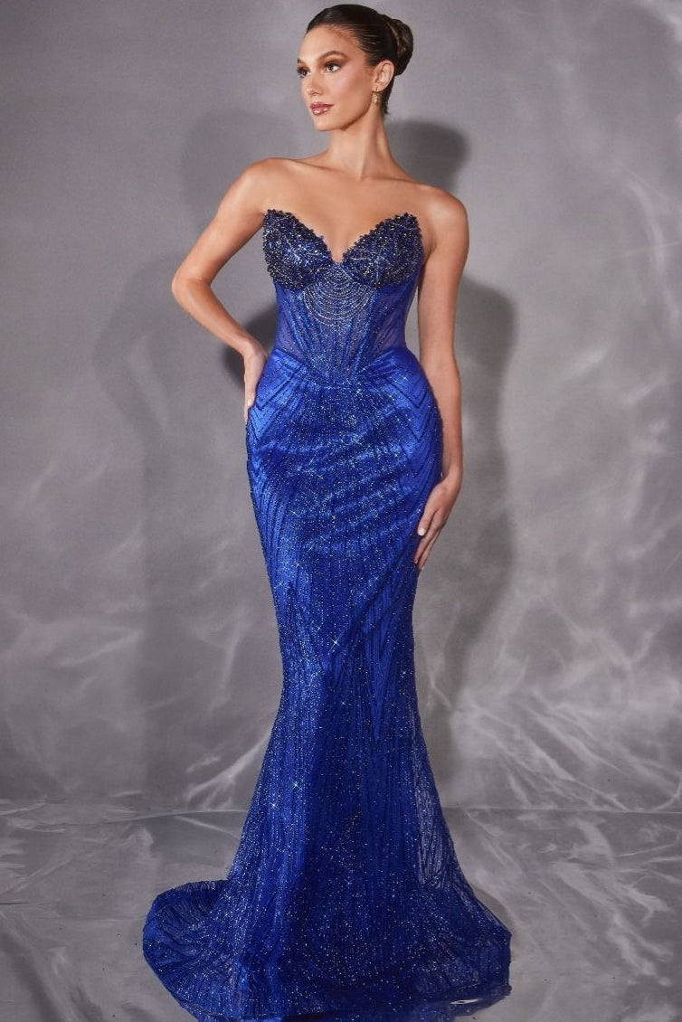 Rialto Gown Fitted Dress with Sheer Corset Bodice