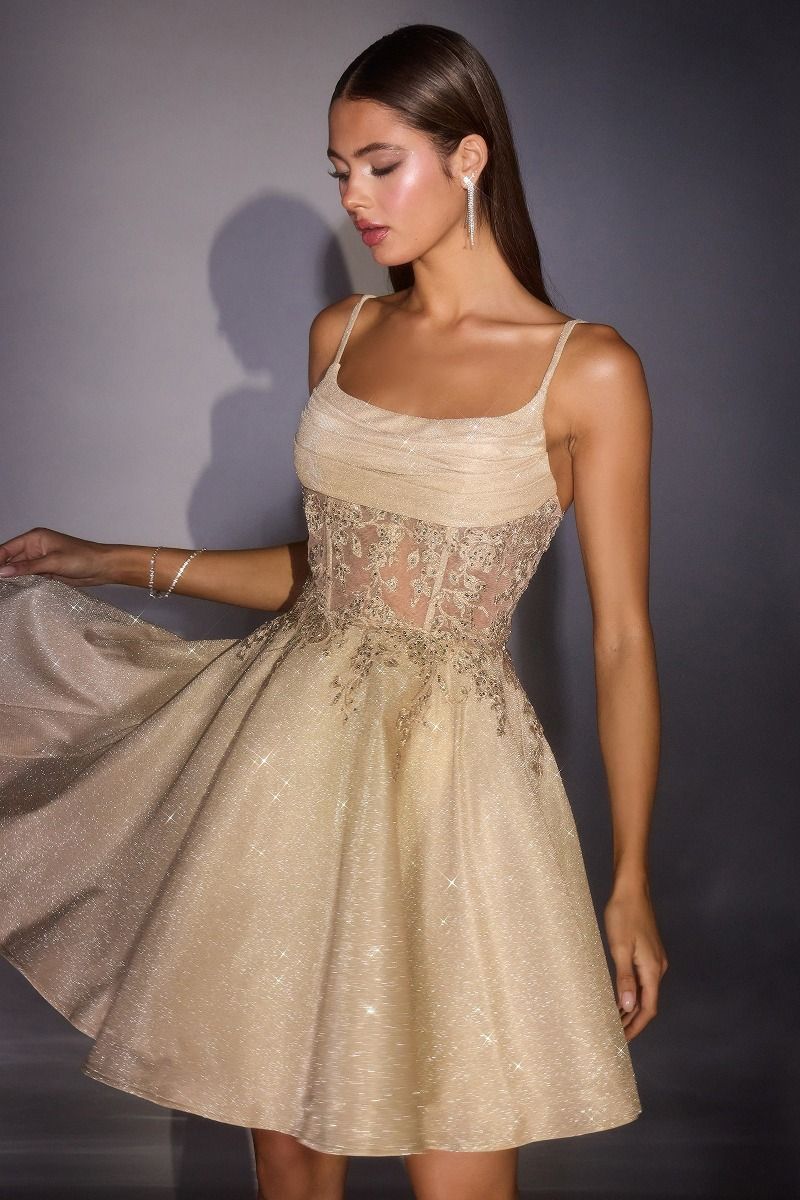 Maggie Mini Dress Glitter Fit & Flare Cocktail Dress
