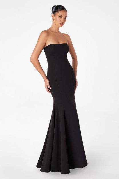 Poppy Maxi Dress Strapless Fitted Dress