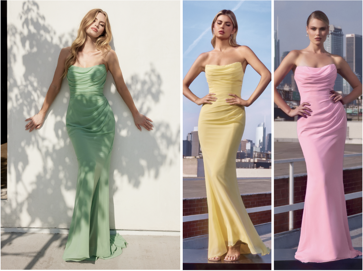 Haven Gown Long Strapless Chiffon Dress