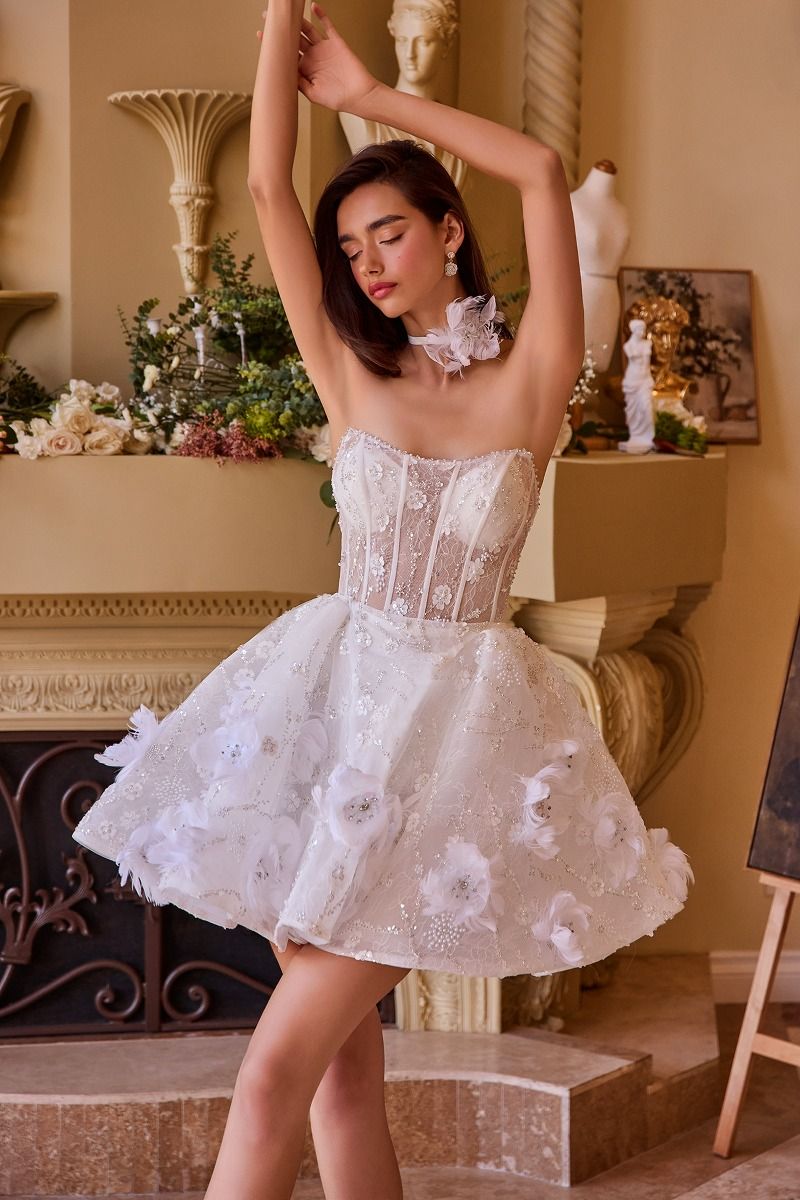 WL025 Wedding Mini Dress & Choker Andrea & Leo