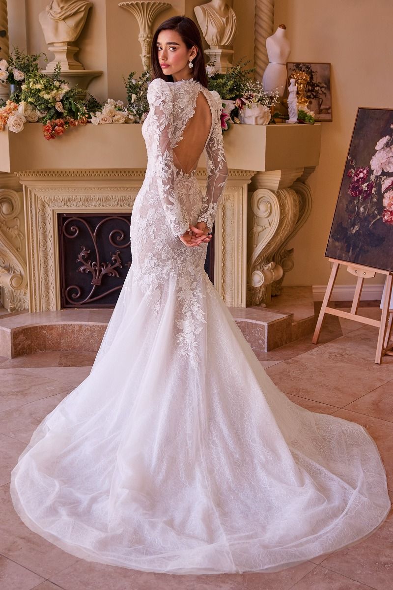 WL036 Long Sleeve Lace Mermaid Bridal Gown Andrea & Leo
