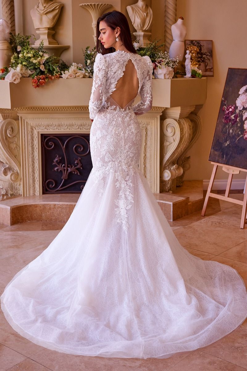 WL036 Long Sleeve Lace Mermaid Bridal Gown Andrea & Leo