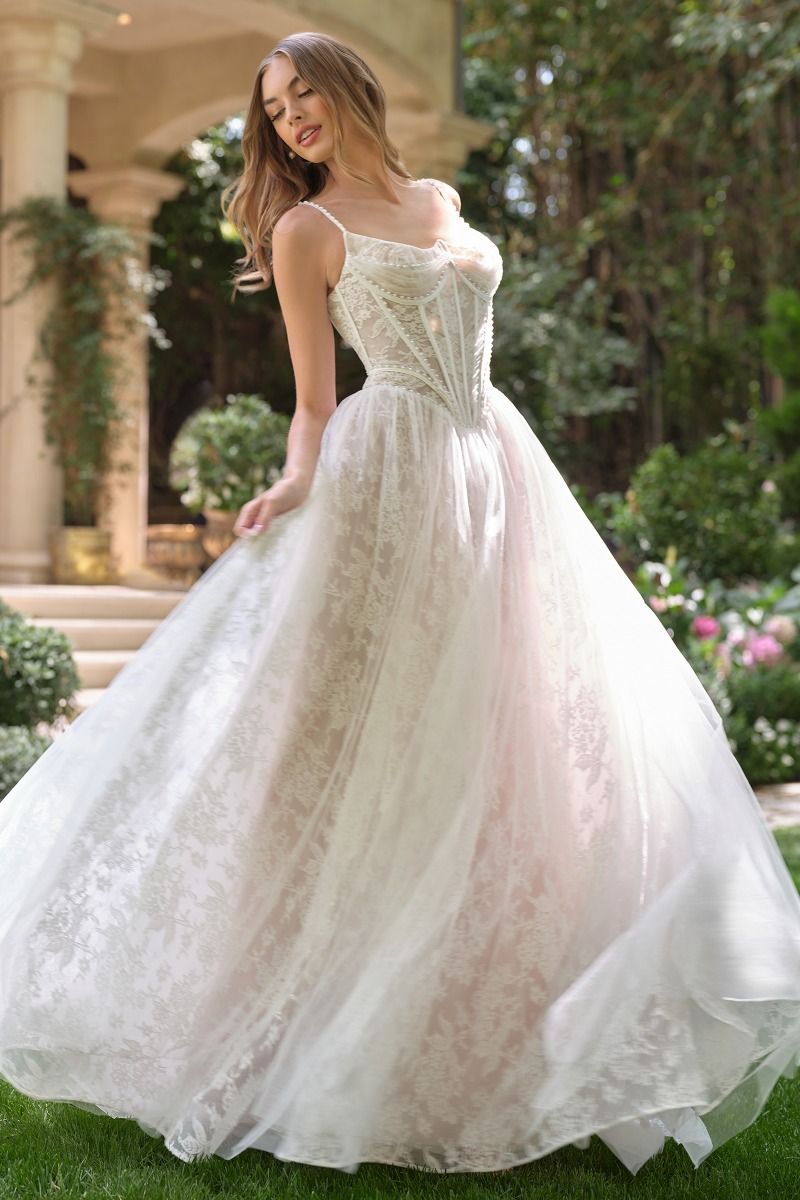 WL069 Venus Lace Ball Gown Andrea & Leo