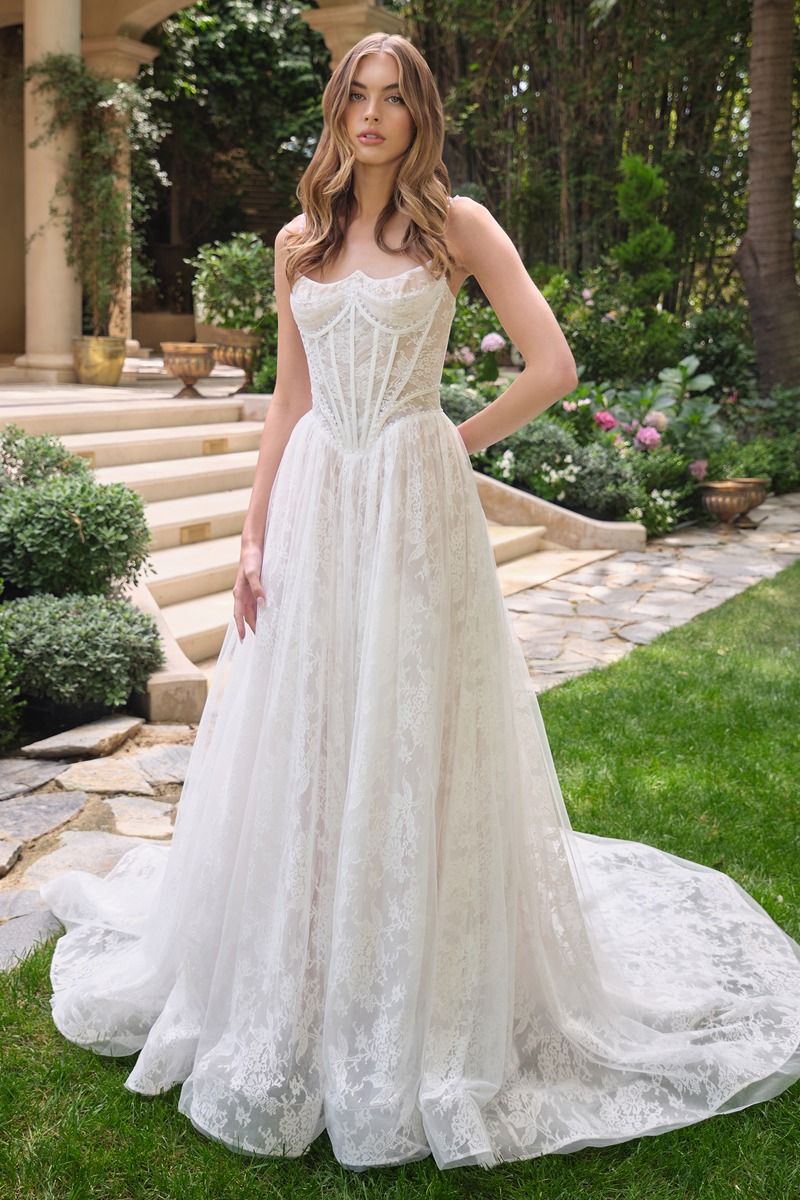 WL069 Venus Lace Ball Gown Andrea & Leo