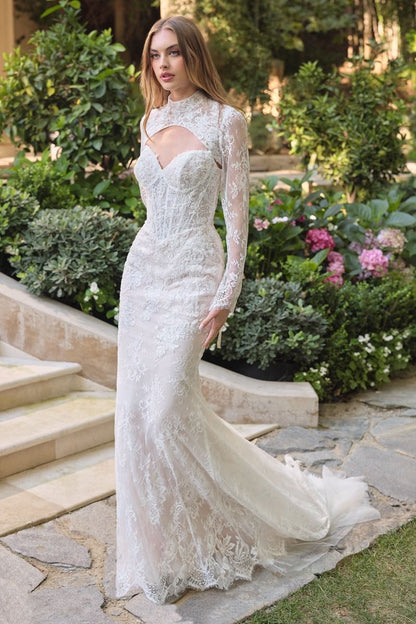 WL071 Athena Lace Mermaid Gown With Bolero Andrea & Leo