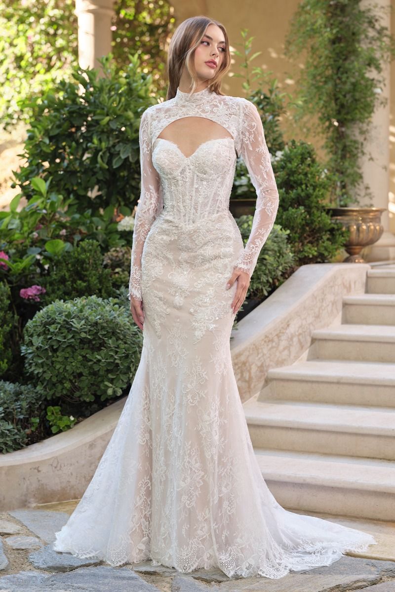 WL071 Athena Lace Mermaid Gown With Bolero Andrea & Leo