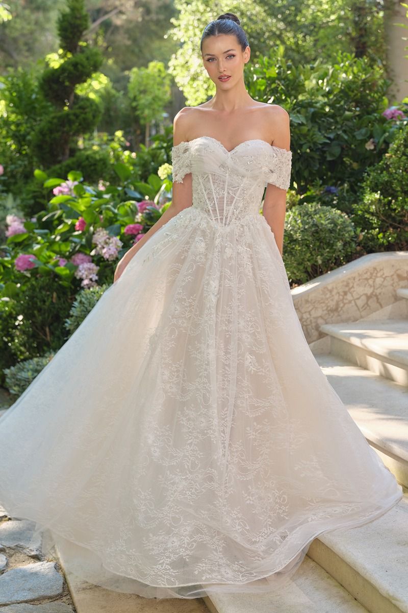 WL090 Audrey Lace Ball Gown Andrea & Leo