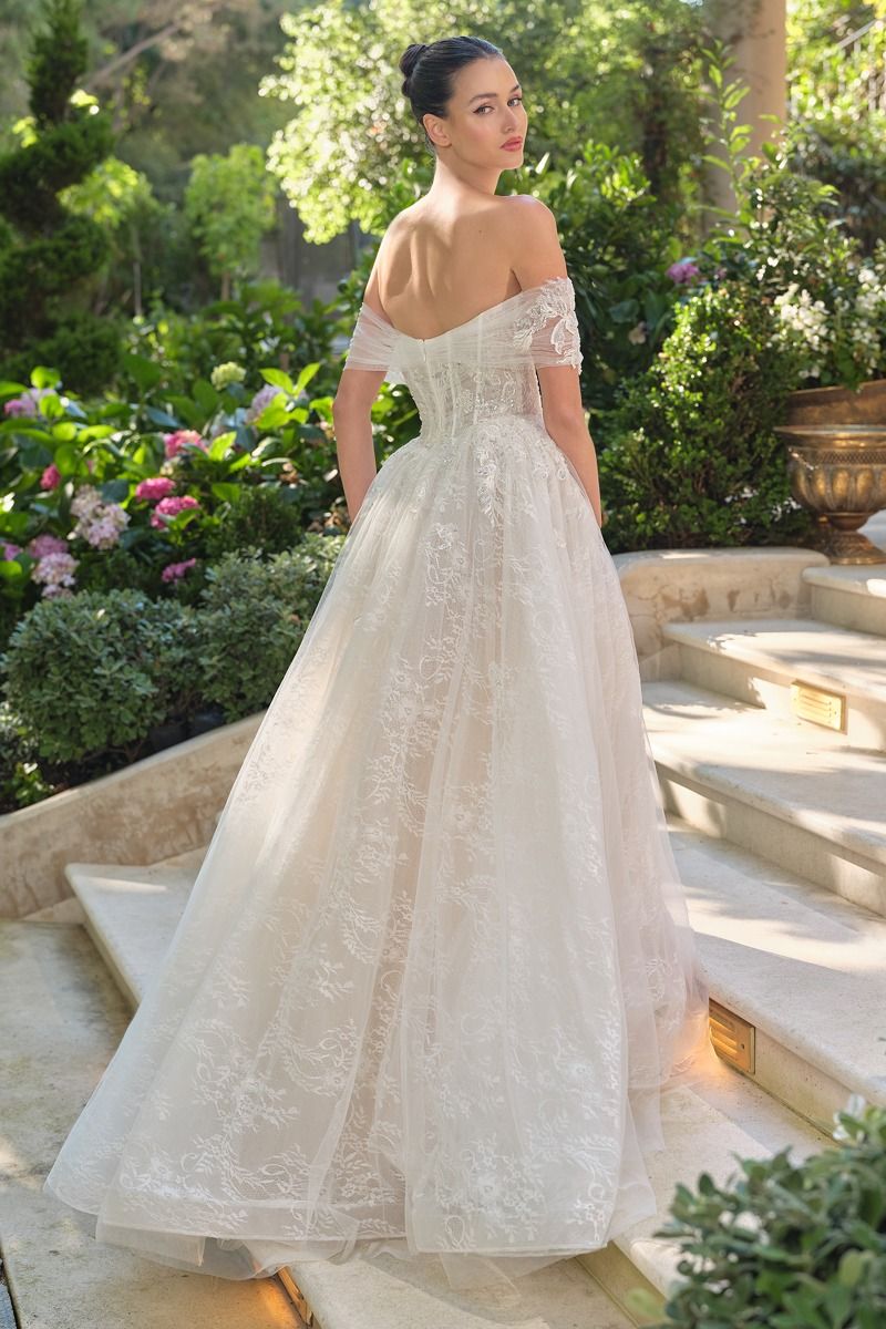 WL090 Audrey Lace Ball Gown Andrea & Leo